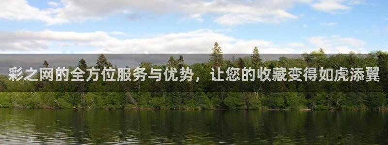 mg不朽情缘官网：彩之网的全方位服务与优势，让您的收藏变得如虎添翼